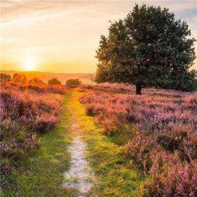 蛋蛋28开奖结果官方